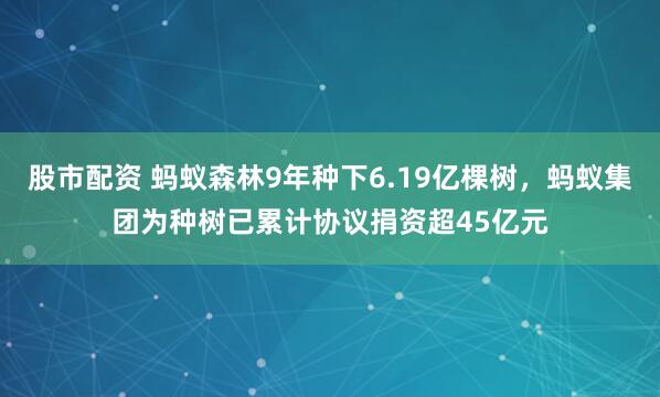 股市配资 蚂蚁森林9年种下6.19亿棵树，蚂蚁集团为种树已累计协议捐资超45亿元